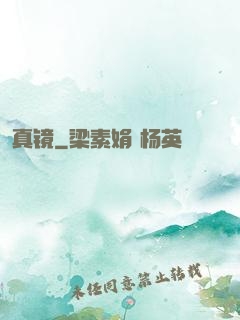 真镜